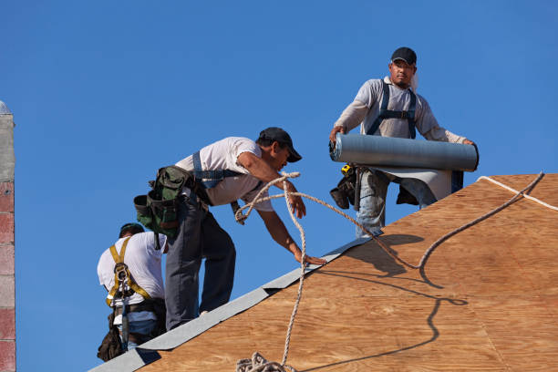 Best Metal Roofing Contractor  in Columbia, CA