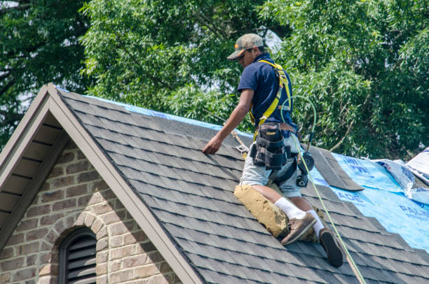 Best Shingle Roofing Installation  in Columbia, CA